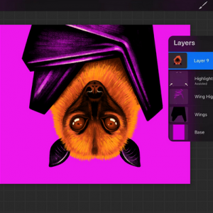 FusionFrame Photography